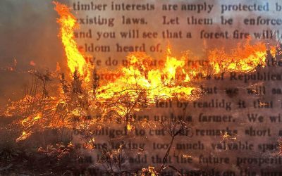 A Forgotten Newspaper Clipping Reveals Oregon’s Wildfire Debate Was Already Raging More Than 120 Years Ago