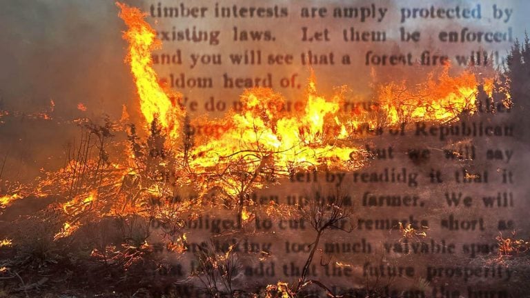 A Forgotten Newspaper Clipping Reveals Oregon’s Wildfire Debate Was Already Raging More Than 120 Years Ago