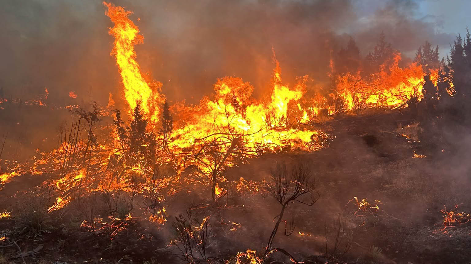 748327387_1358190669761533_7156561520196282881_n ORDF, Wildfires, 2026, record breaking, oregon on fire
