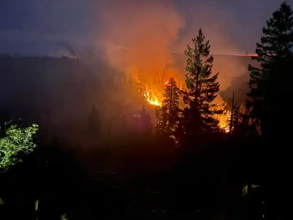 Grasshopper fire blazing