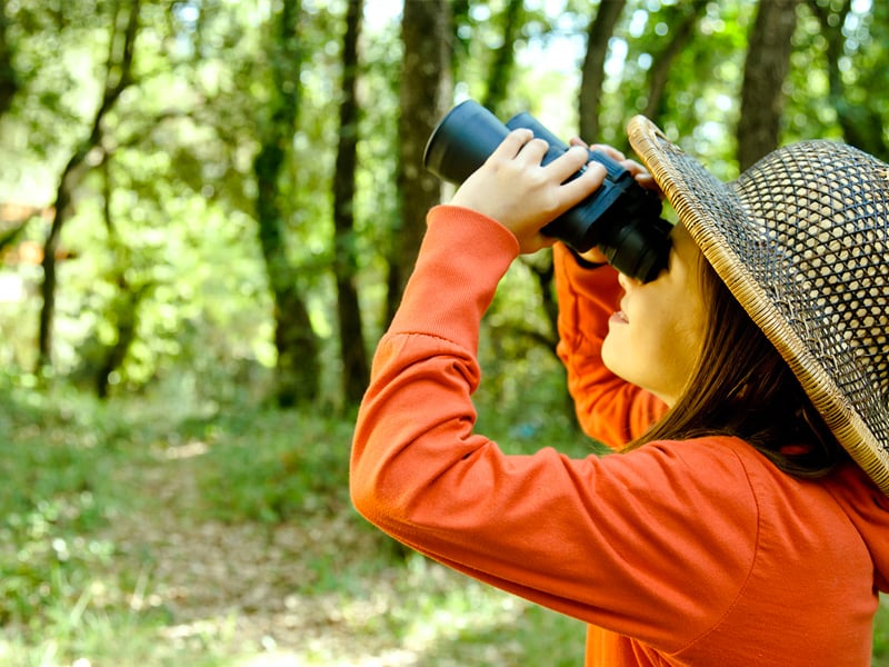 Bird Watching Explorience