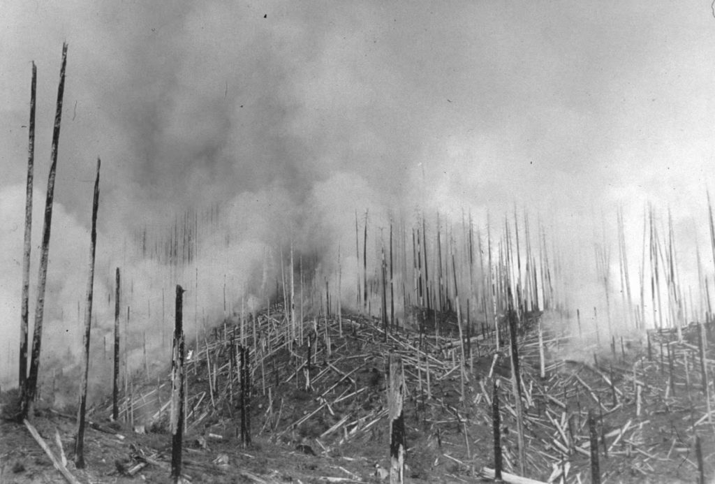 Oregon History, Wildfires, Debate, Old Newspaper Article, 1903, Hazel Dell, Oakridge, Upper Willamette, Arson, Senate Bill 50, Booth-Kelley, Forest Management, Eugene Guard, Tillamook Burn, Old Trails Fire