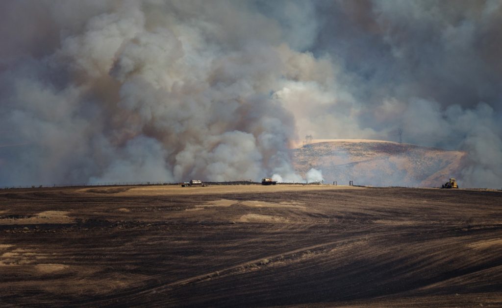 Oregon History, Wildfires, Debate, Old Newspaper Article, 1903, Hazel Dell, Oakridge, Upper Willamette, Arson, Senate Bill 50, Booth-Kelley, Forest Management, Eugene Guard, Tillamook Burn, Old Trails Fire