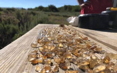 This Remote Oregon Mine Lets You Dig for Real Sunstones and Keep What You Find