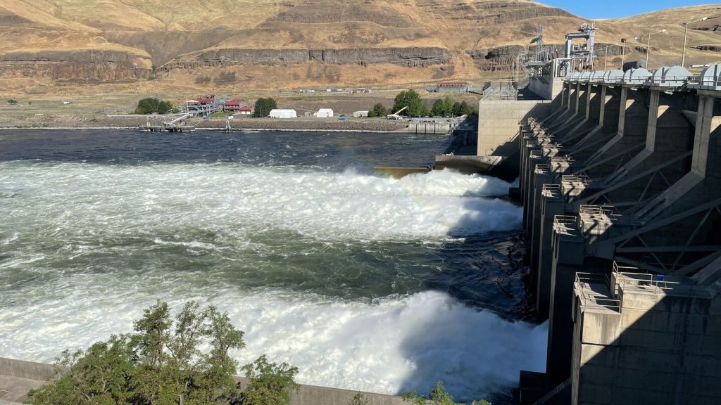 detroit dam, oregon, green peter, lawsuits, marion county, willamette valley, santiam river, city of salem, dam history, reservoir drawdowns, water supply, dead fish, native chinook salmon, kokanee, debate, snake river, columbia river, leaburg, klamath dams removal, lower monumenal