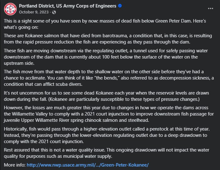 detroit dam, oregon, green peter, lawsuits, marion county, willamette valley, santiam river, city of salem, dam history, reservoir drawdowns, water supply, dead fish, native chinook salmon, kokanee, debate, snake river, columbia river, leaburg, klamath dams removal, us army corps of engineers