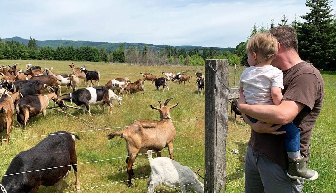 This Oregon Farm/Creamery Is a Baby-Goat Daydream With Handmade Cheese and Goat-Milk Gelato