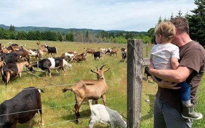 This Oregon Farm/Creamery Is a Baby-Goat Daydream With Handmade Cheese and Goat-Milk Gelato