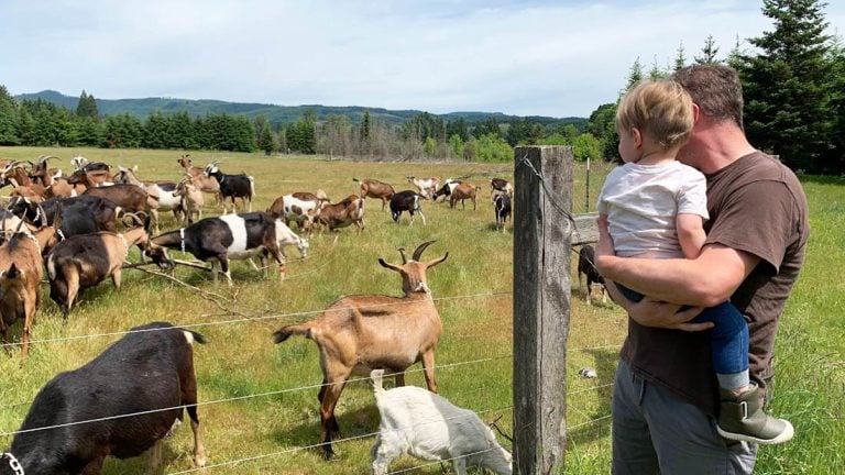 This Oregon Farm/Creamery Is a Baby-Goat Daydream With Handmade Cheese and Goat-Milk Gelato