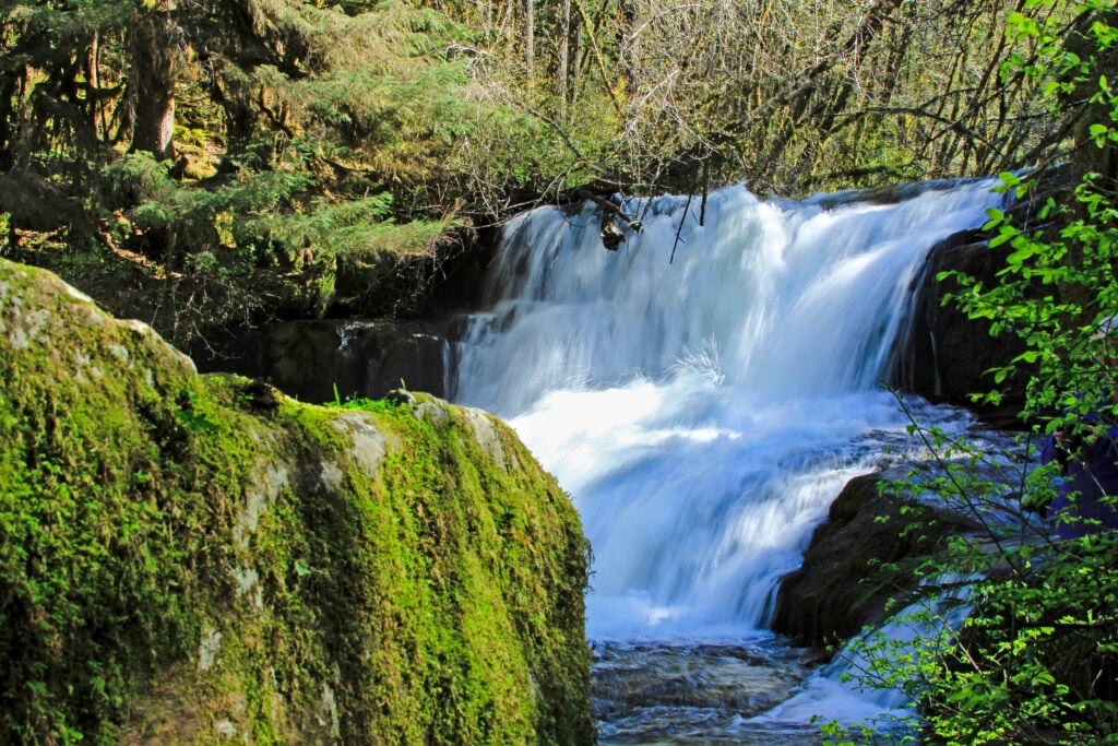 Alsea Falls in Oregon
