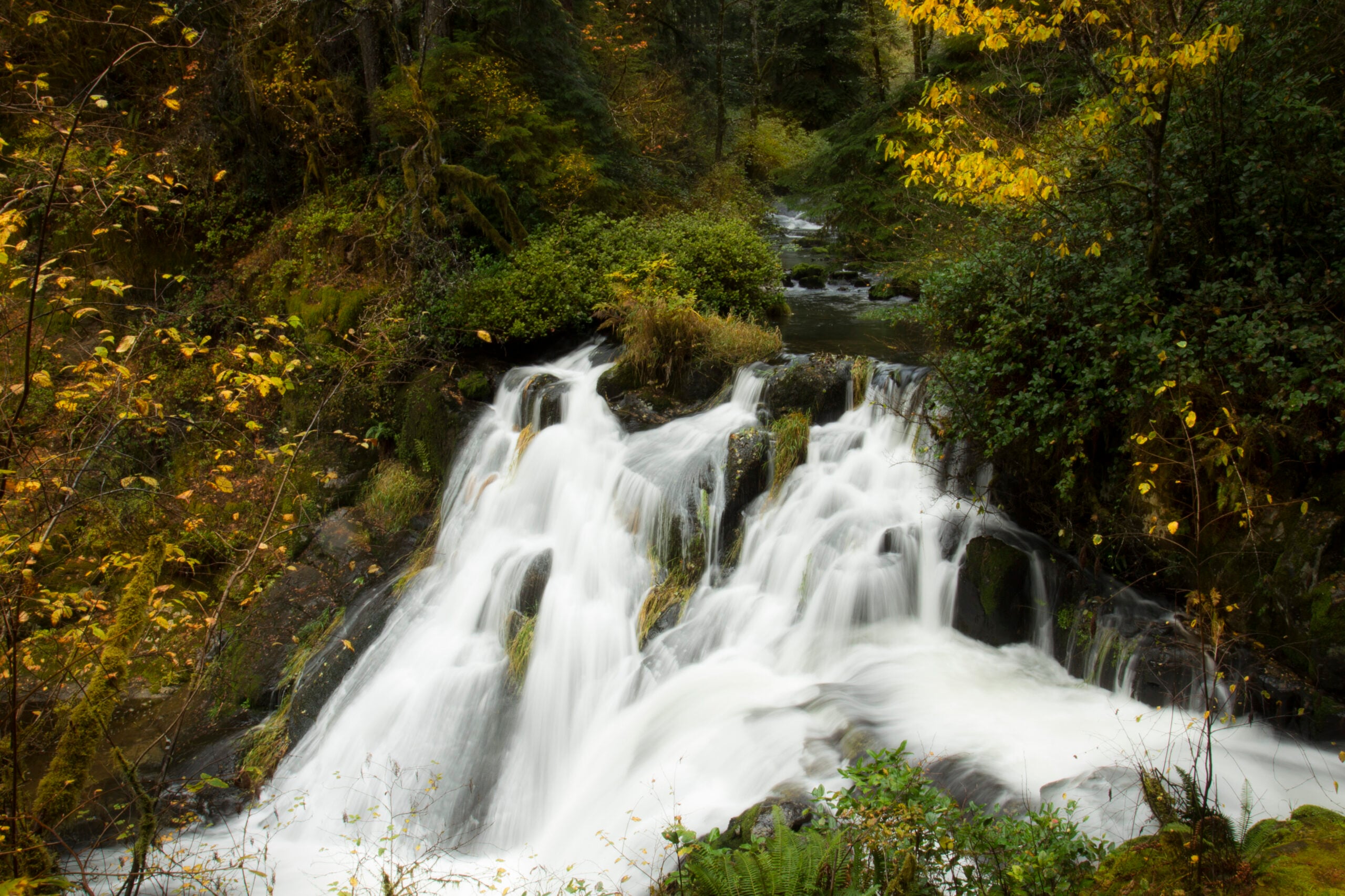 Beaver Creek Falls in Oregon