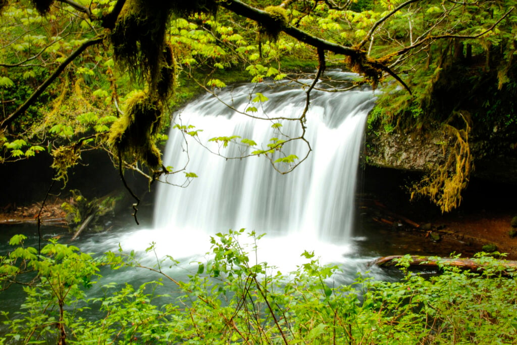 Butte Creek Falls in Oregon