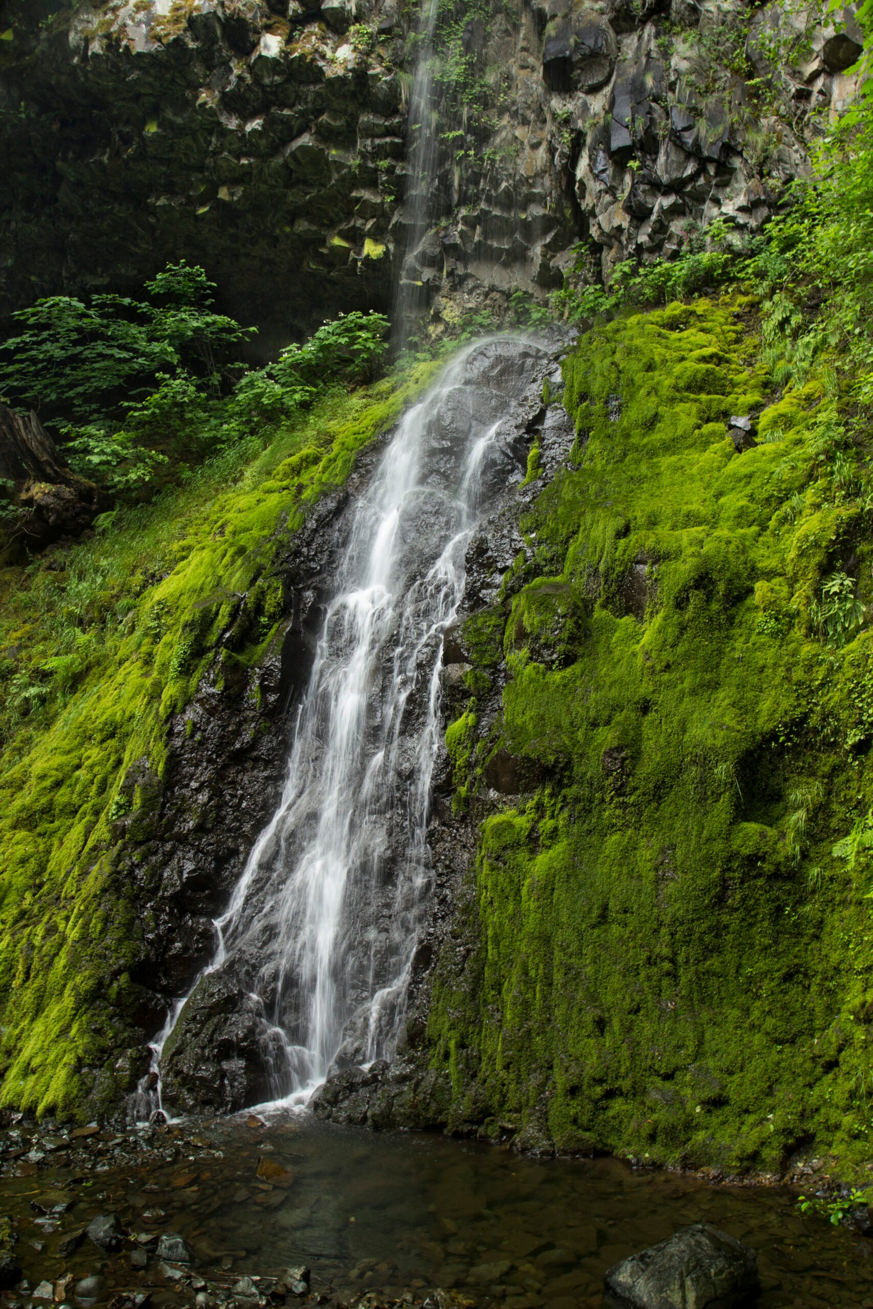 Cabin Creek Falls in Oregon