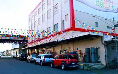 This Massive Portland Warehouse Has Been Hiding Treasures in Plain Sight Since 1977