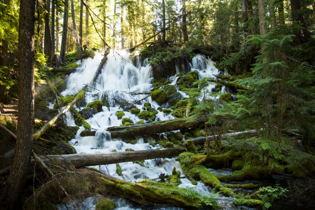 Clearwater Falls in Oregon