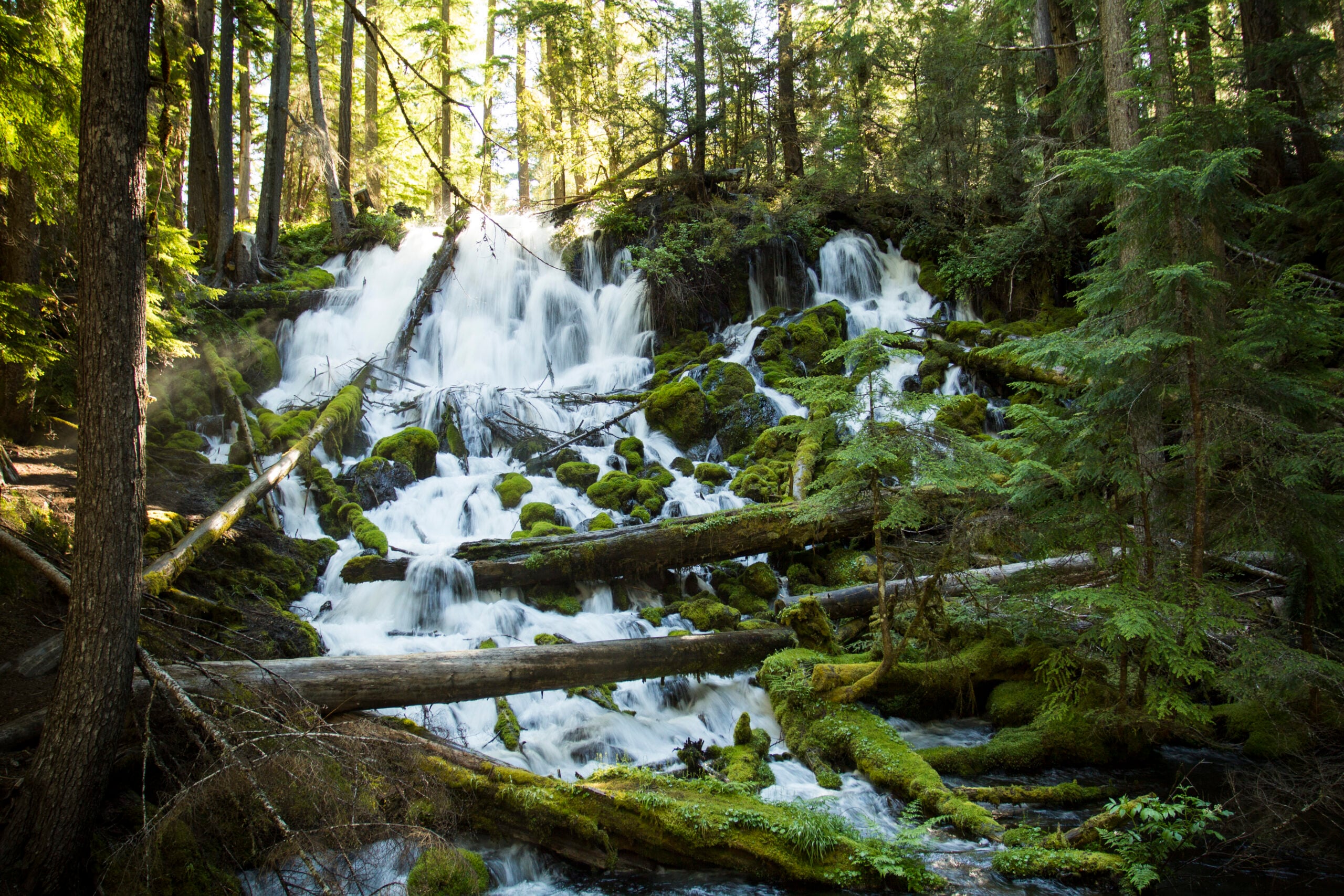 Clearwater Falls in Oregon