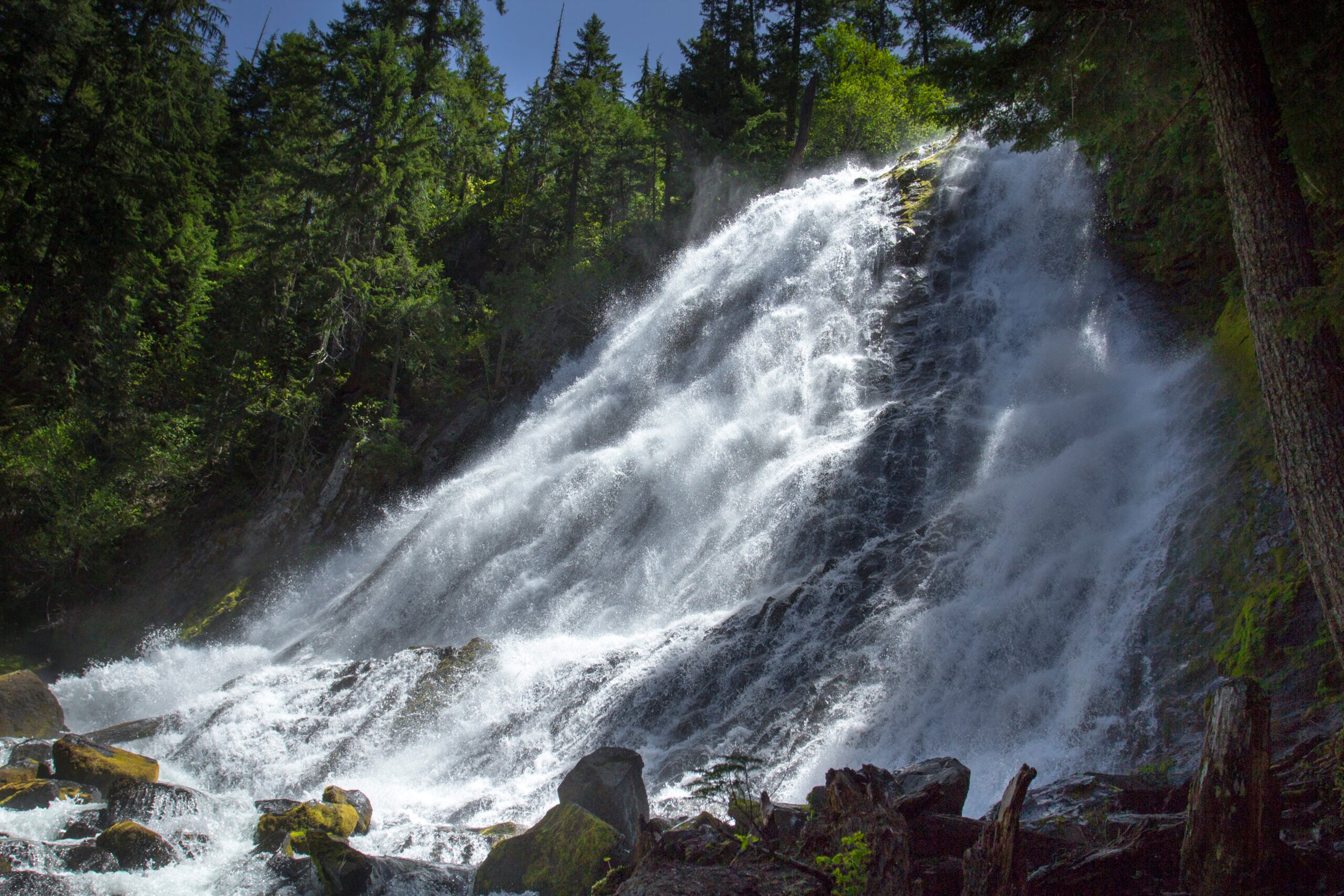 Diamond Creek Falls in Oregon