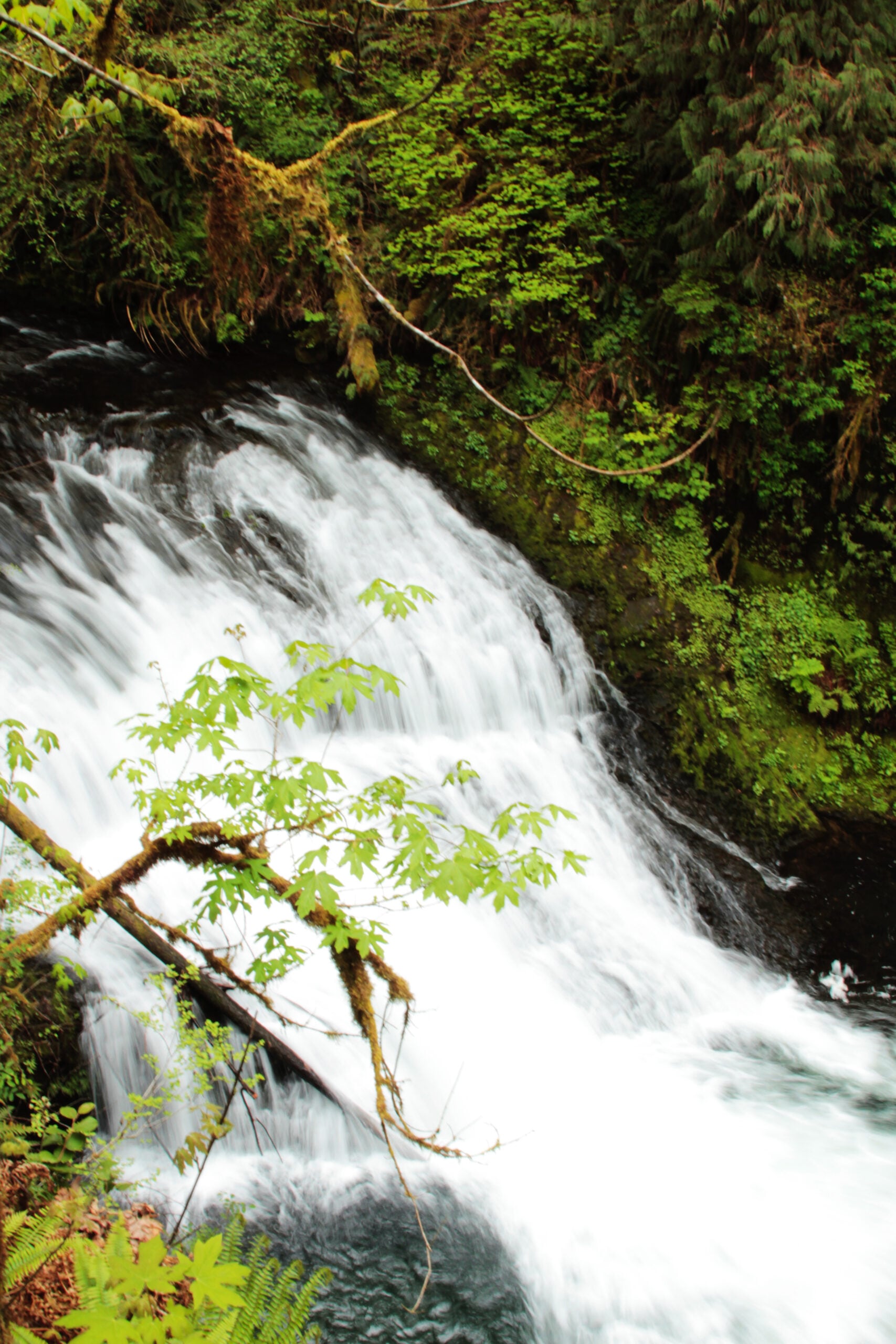 Drake Falls in Oregon