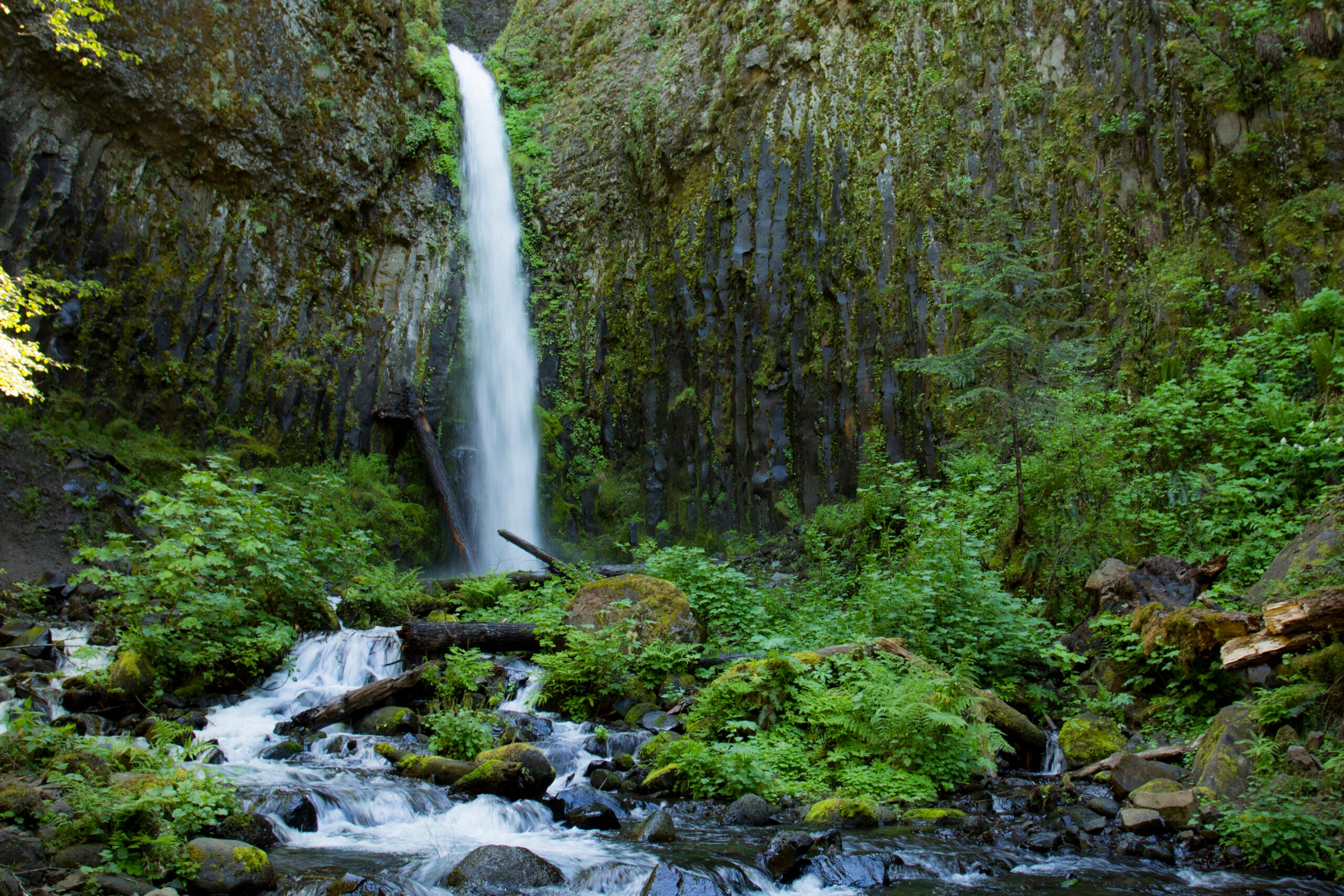 Dry Creek Falls in Oregon