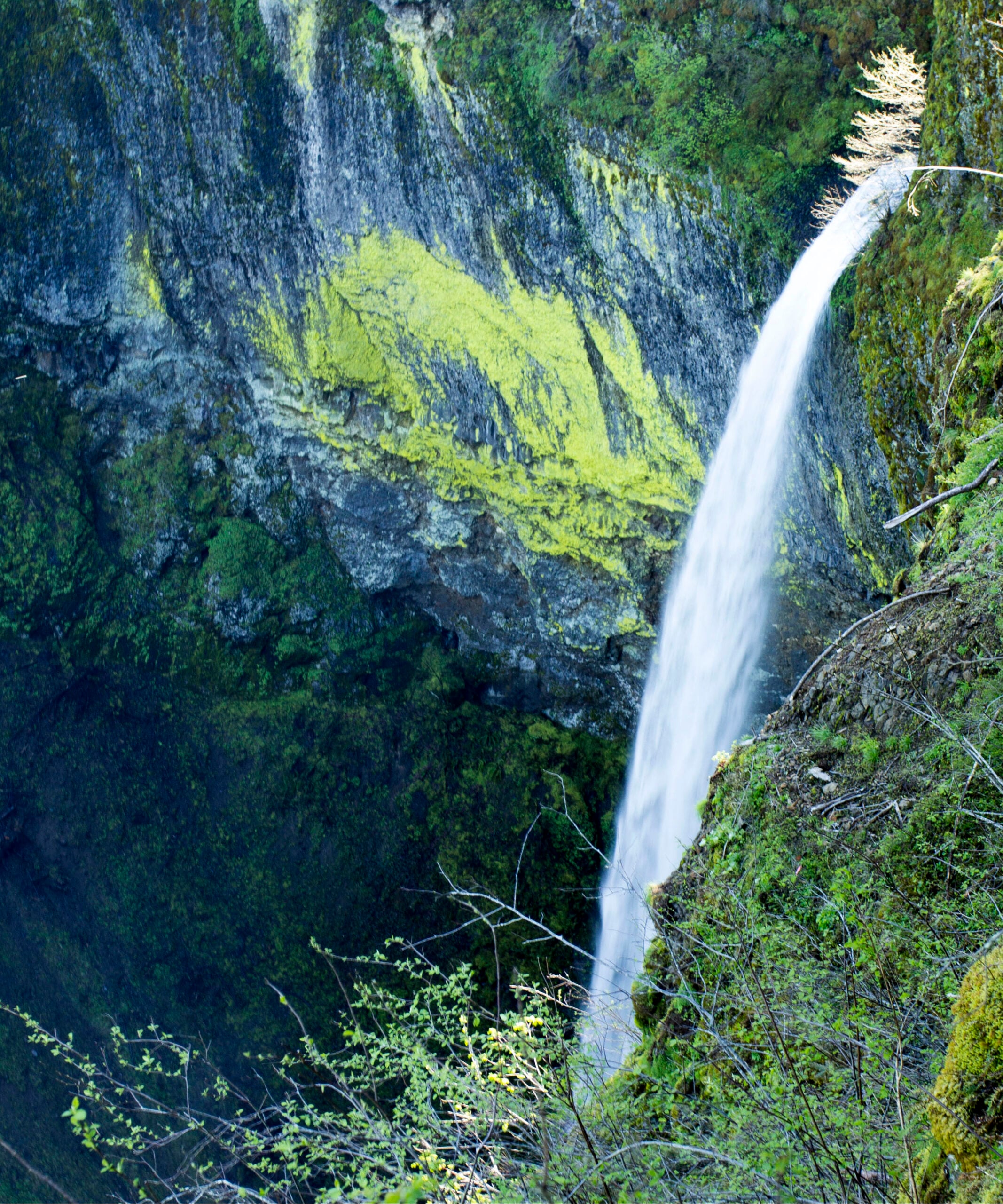 Elowah Falls in Oregon