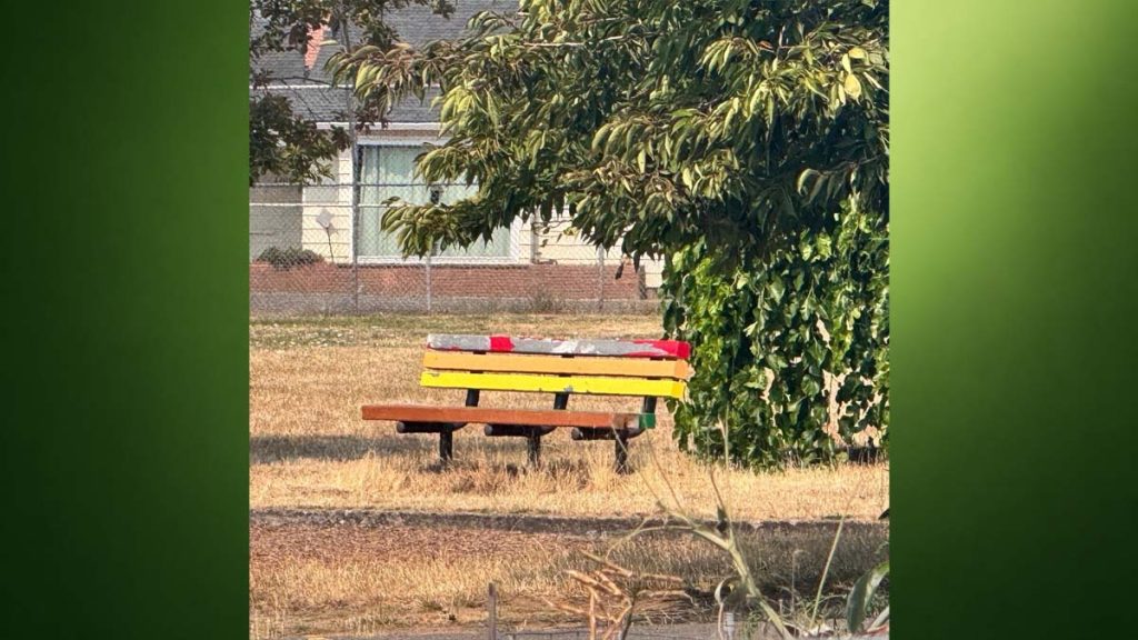 rainbow colored bench at Lewis Elementary School