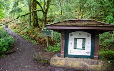 70-Year-Old Hiker Dies After 400-Foot Fall Near Oregon’s Horsetail Fall