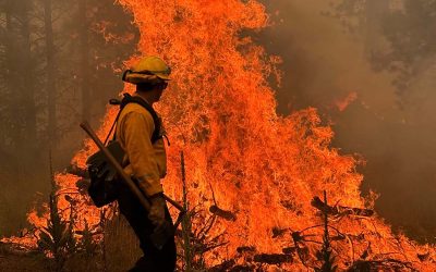 More of Highway 26 Reopens as Rowe Creek Complex Reaches 84% Containment