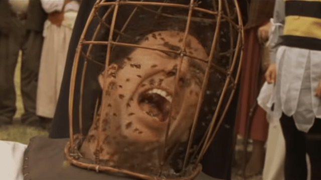 bees, oregon, humor, unofficial field guide, insects, mason bees, friend or foe, yellowjackets, bald faced hornet, PNW species, nic cage, not the bees