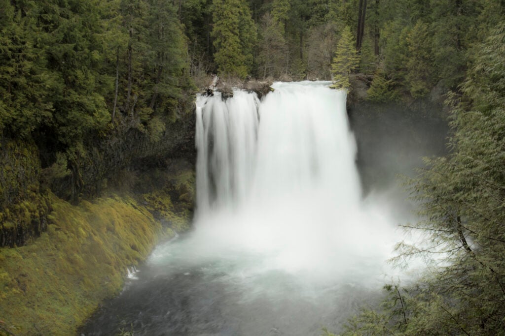 Koosah Falls in Oregon