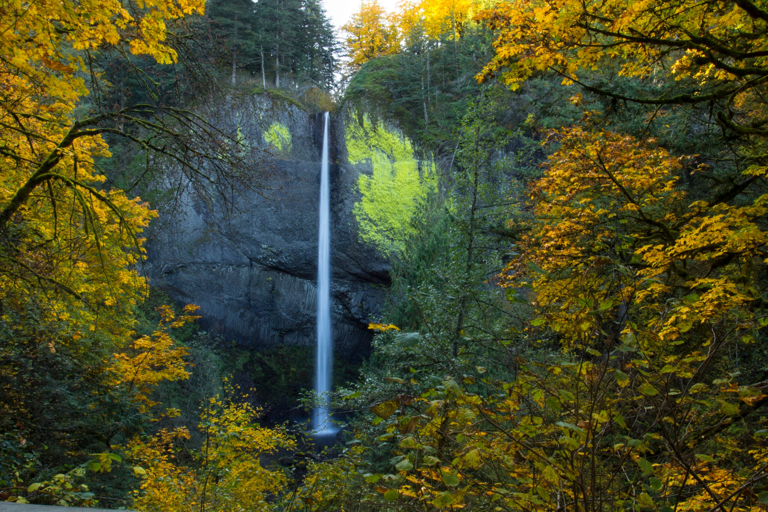 Latourell Falls in Oregon
