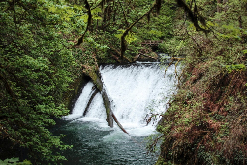 Lower North Falls in Oregon