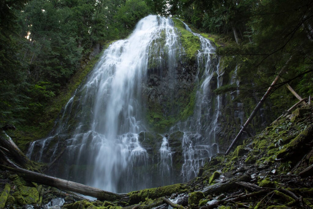 Lower Proxy Falls in Oregon
