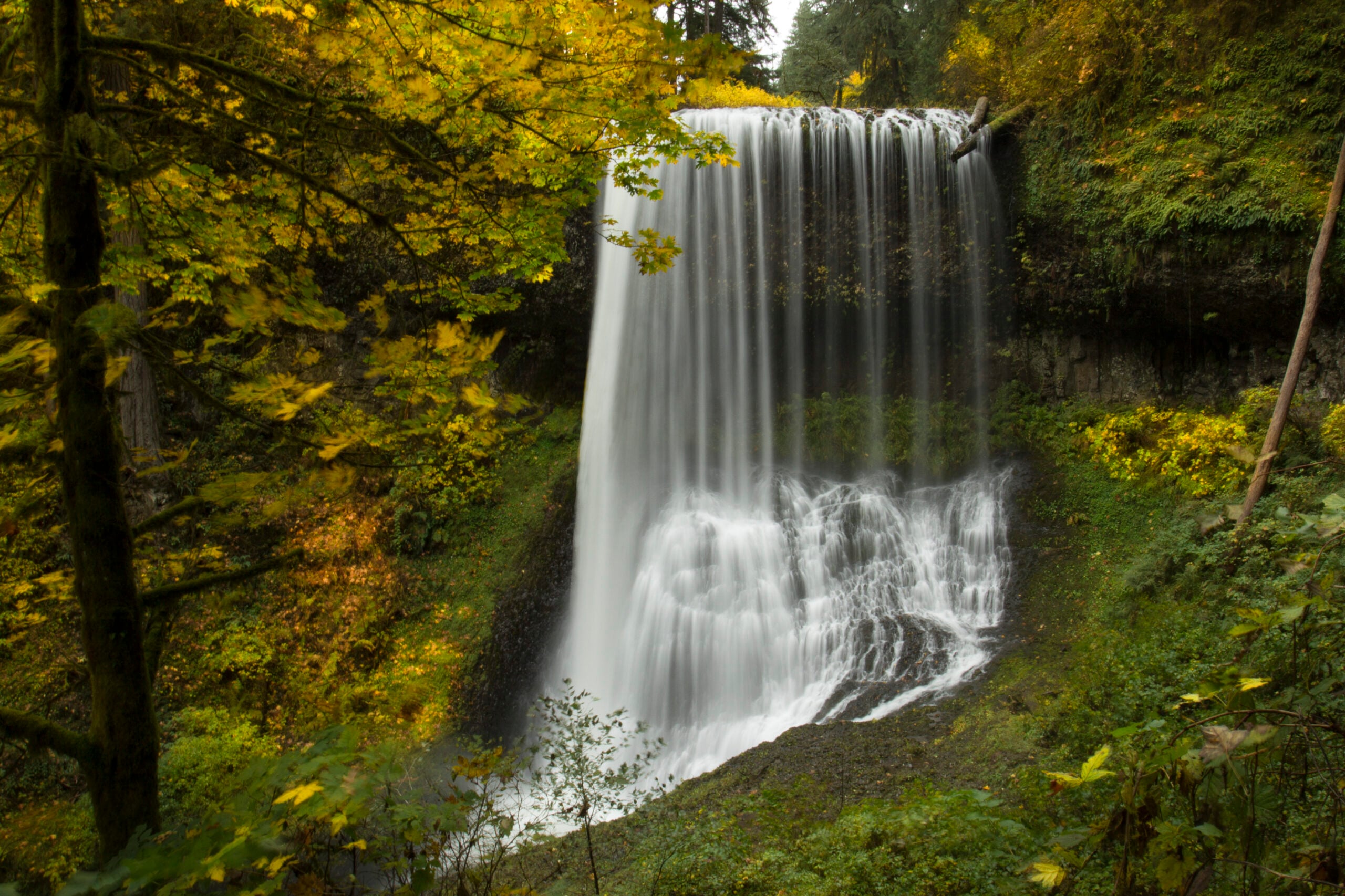 Middle North Falls in Oregon