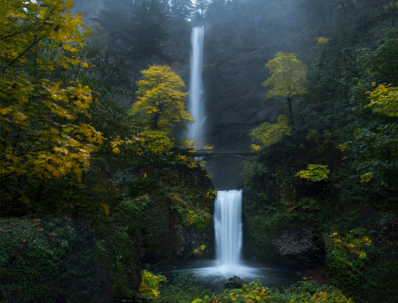 Multnomah Falls in autumn light with colorful trees beside the basalt cliffs
