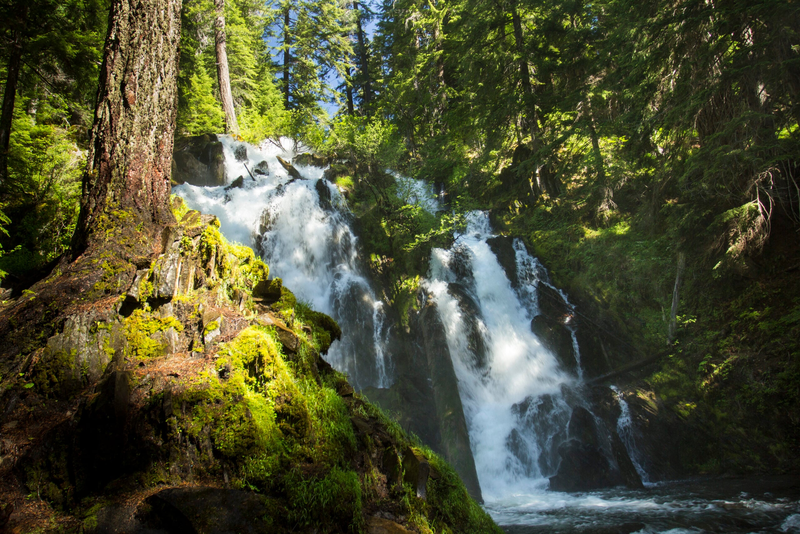 National Creek Falls in Oregon