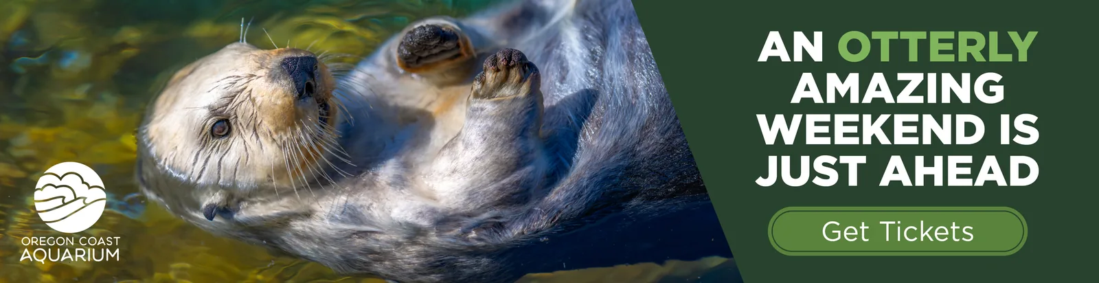 Oregon Coast Aquarium — an otterly amazing weekend is just ahead. Get tickets.