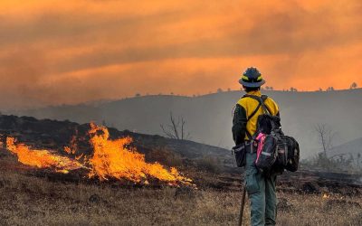 Another Fire Ignites Near Mount Hood as Oregon’s Historic Wildfire Season Tops 2.3 Million Acres