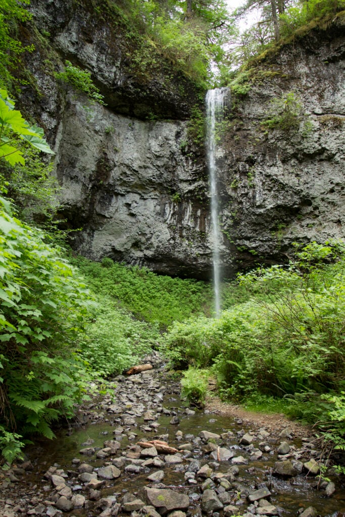 Pheasant Creek Falls in Oregon