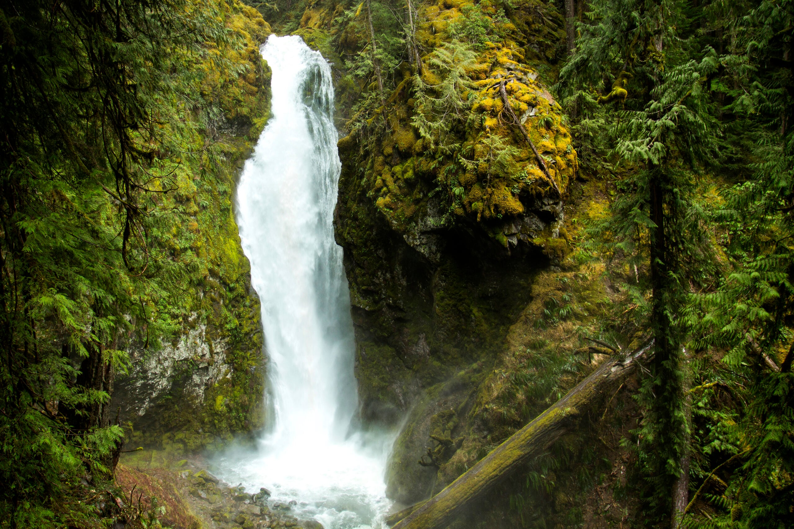 Pinard Falls in Oregon