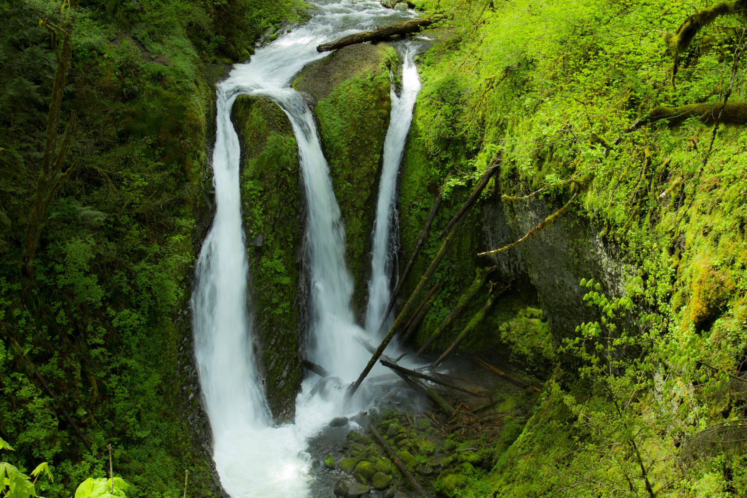 Ponytail Falls in Oregon