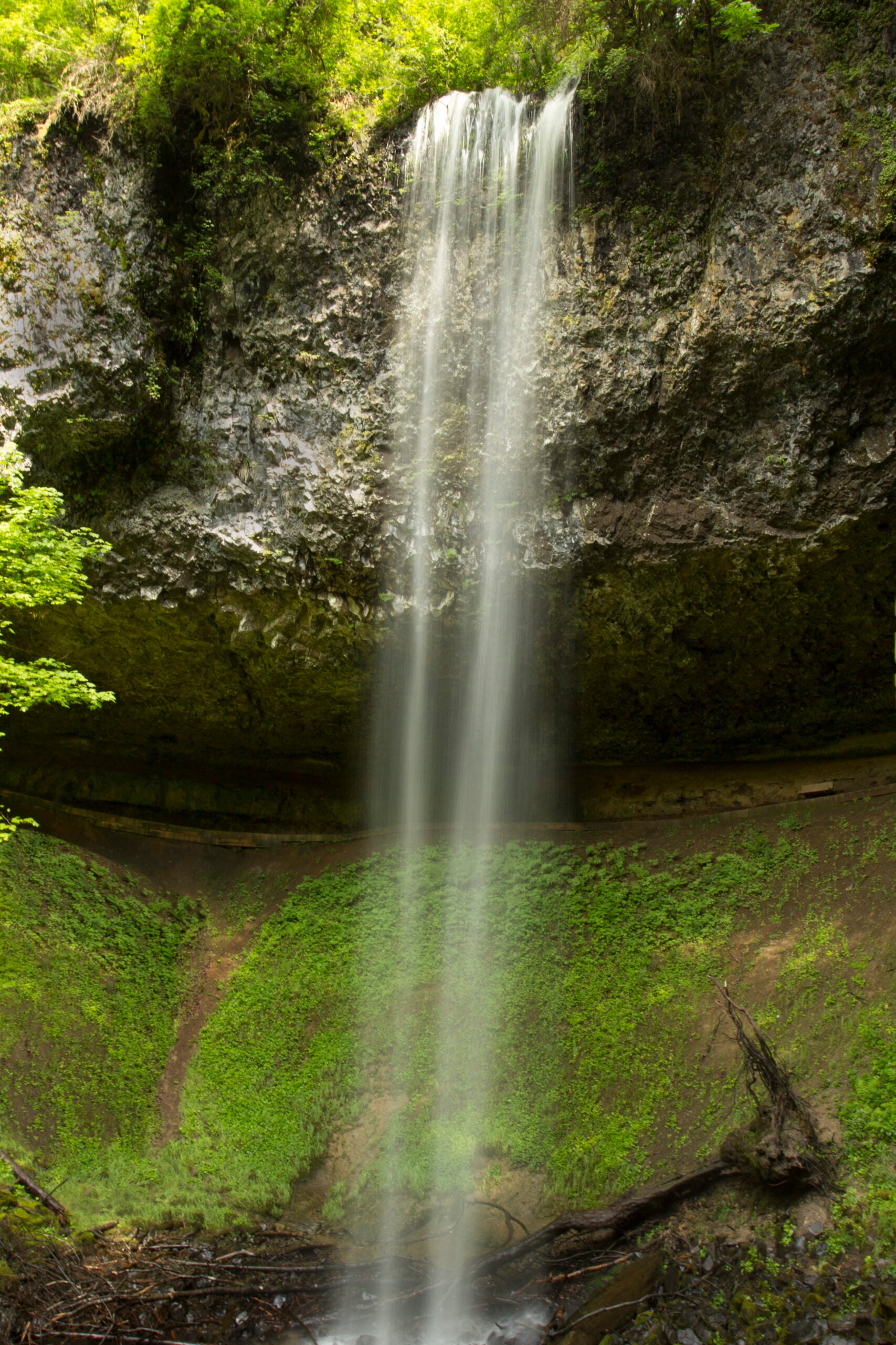 Shellburg Falls in Oregon