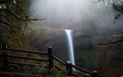 Person Dies in 177-Foot Fall at Silver Falls State Park After Entering Closed Area