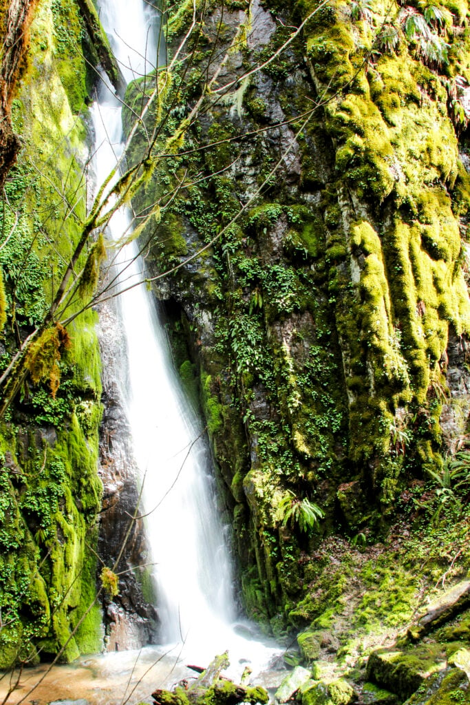 Soda Creek Falls in Oregon