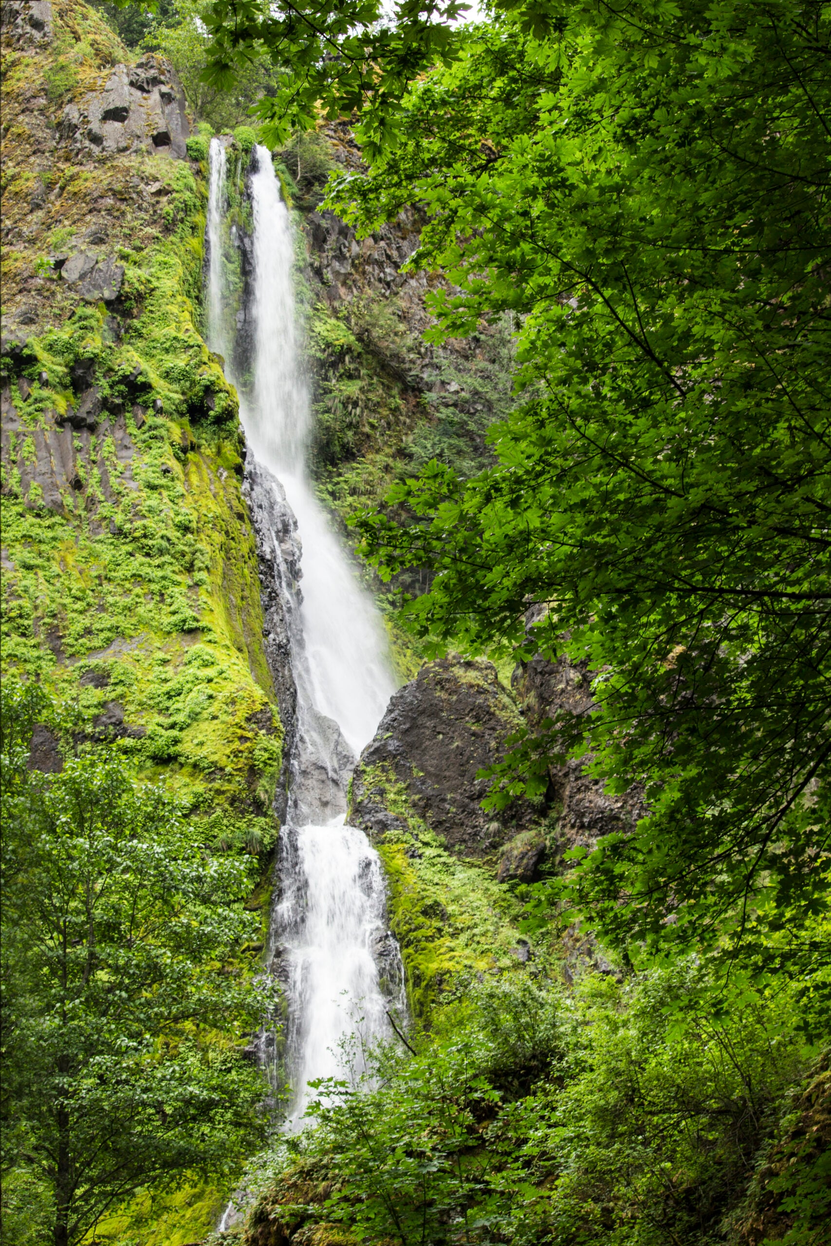 Starvation Creek Falls in Oregon