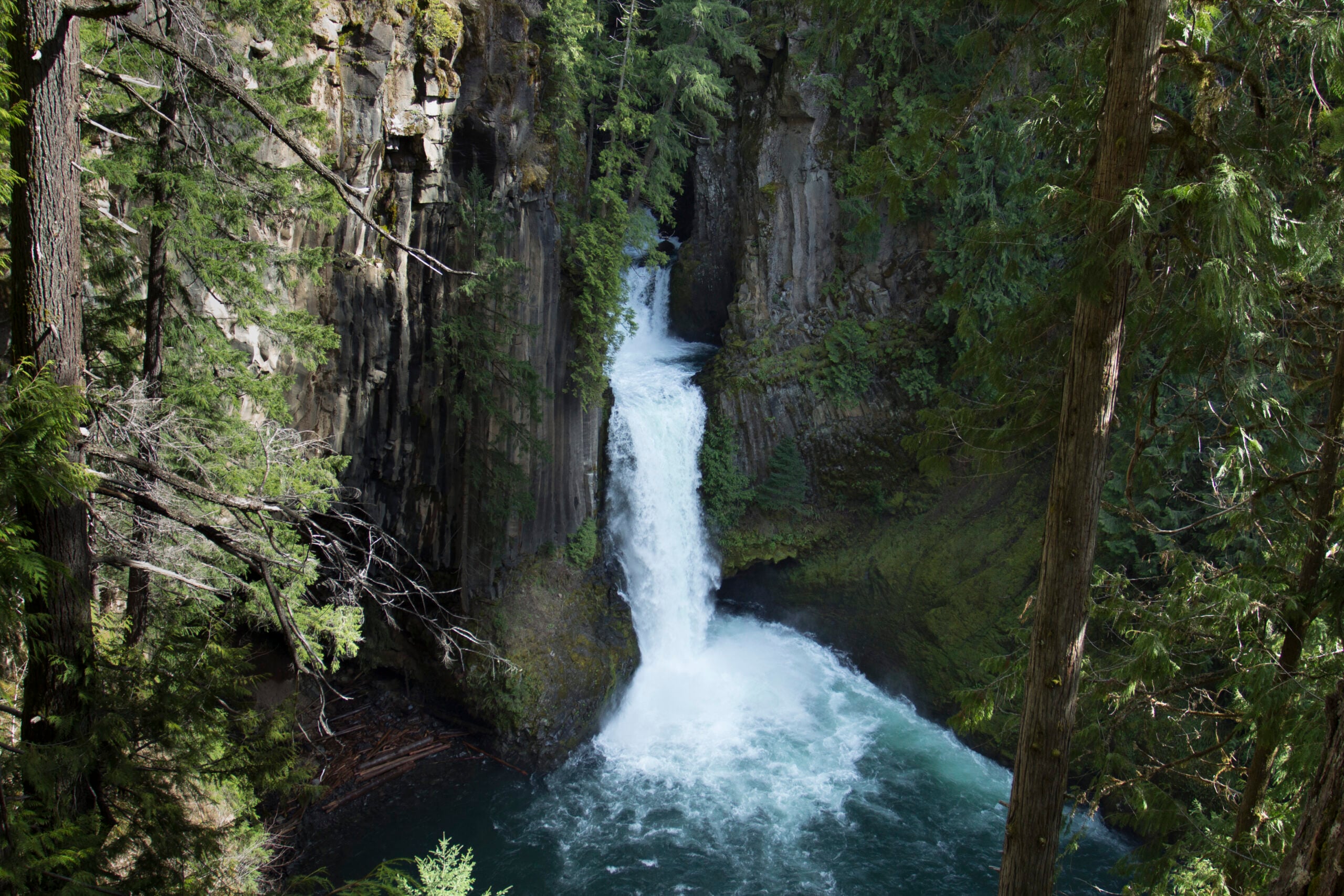 Toketee Falls in Oregon