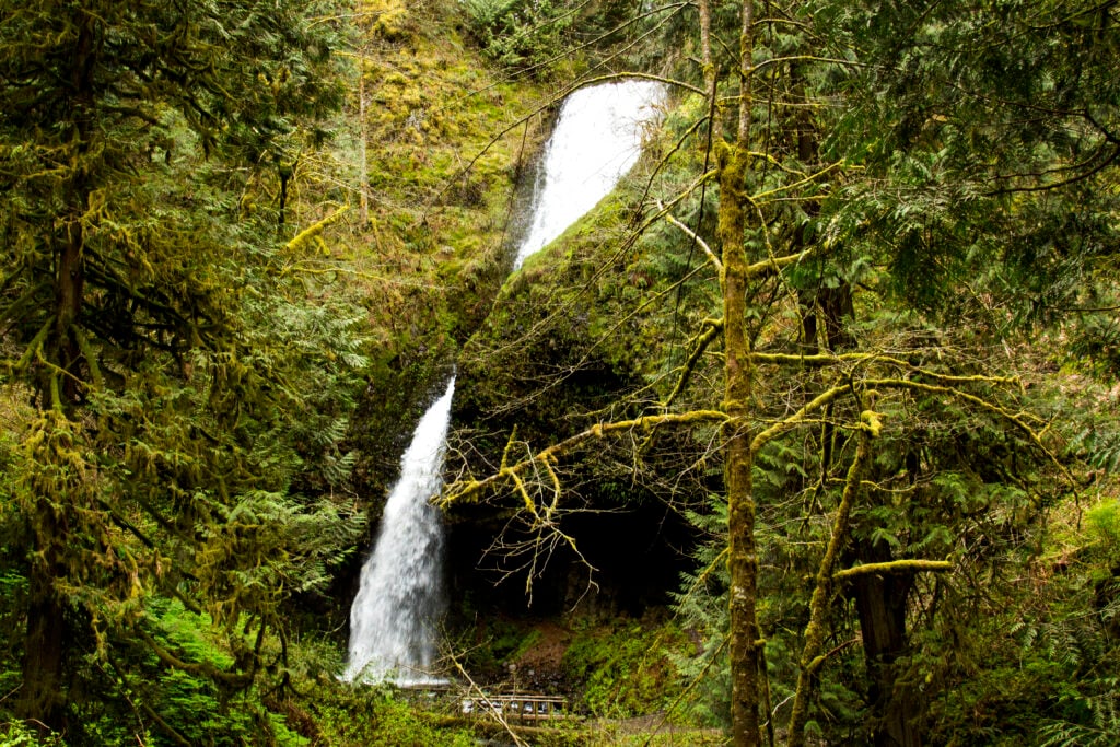 Upper Latourell Falls in Oregon