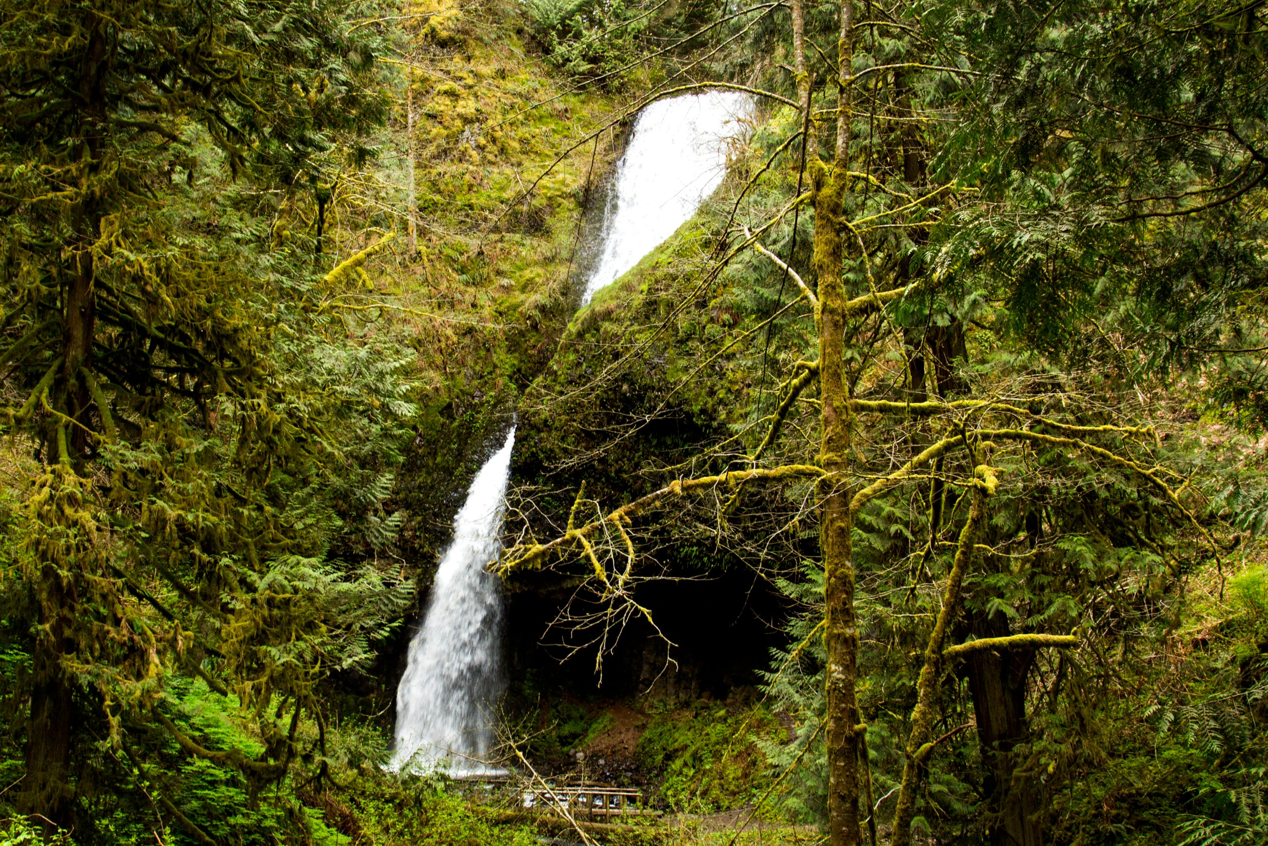 Upper Latourell Falls in Oregon