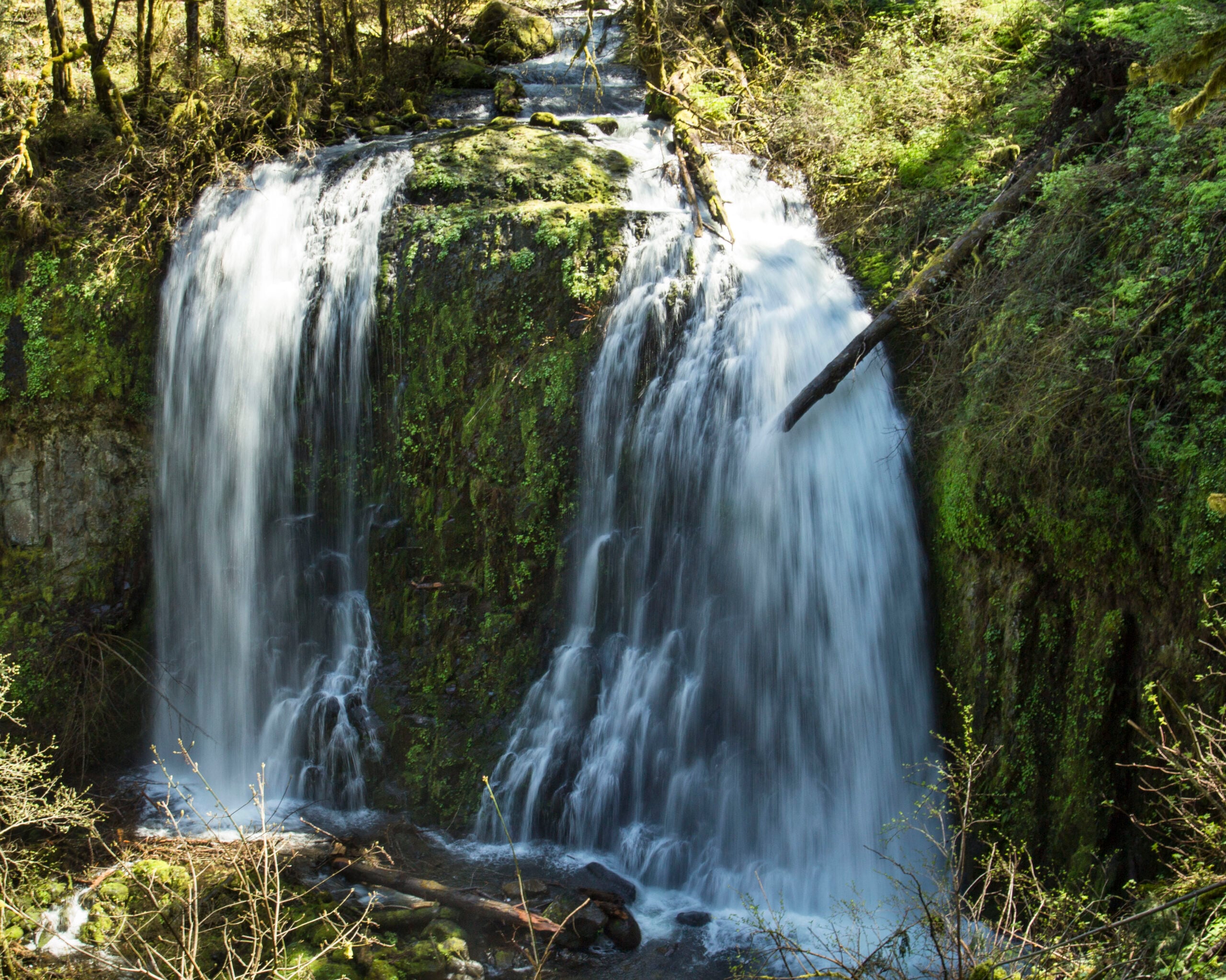 Upper McCord Creek Falls in Oregon