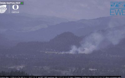 Vegetation Fire Burns Near Jasper and Mount Vernon Roads in Springfield