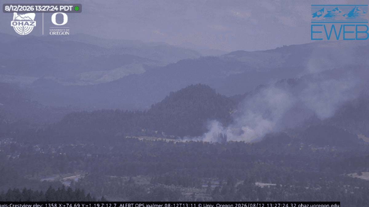 vegetation-fire Vegetation fire burning in Springfield